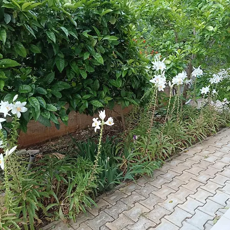 דירה Blue House *