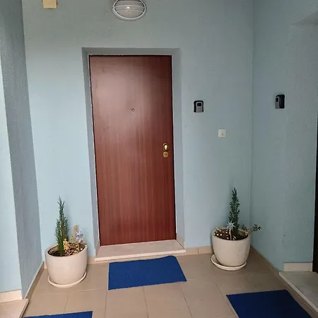 Blue House *