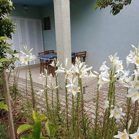 Blue House Apartment