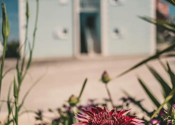 Blue House * 코츌라