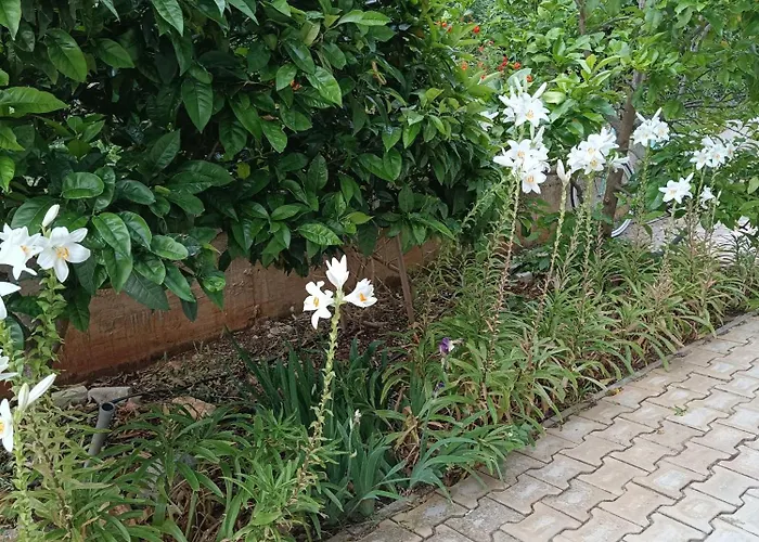 아파트 Blue House *